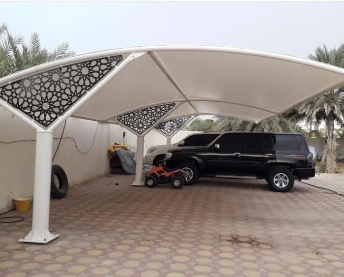 صورة المقال